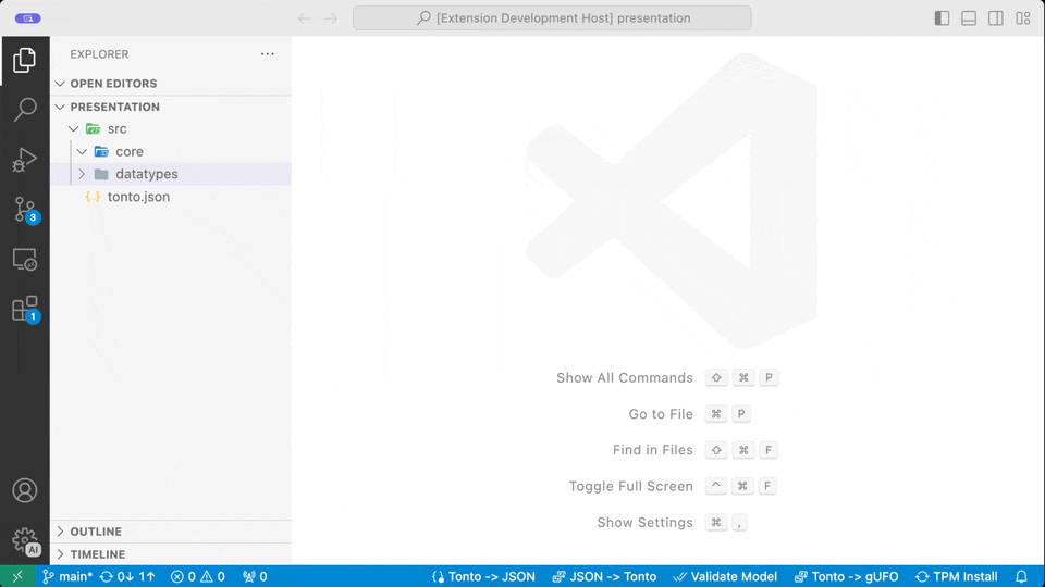 Tonto in VS Code
